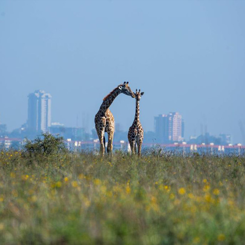 Nairobi