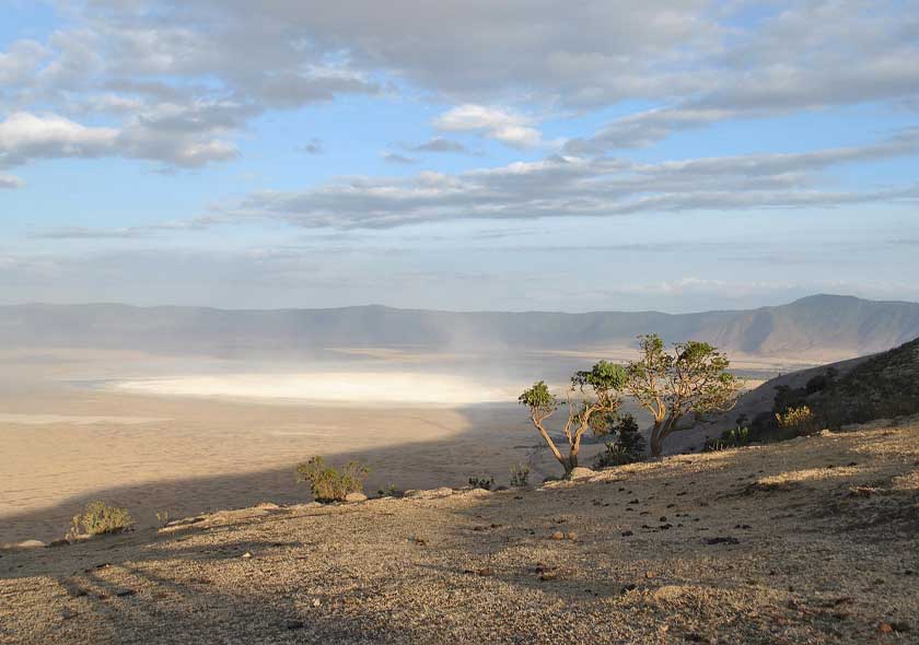 Ngorongoro, Serengeti & L. Manyara